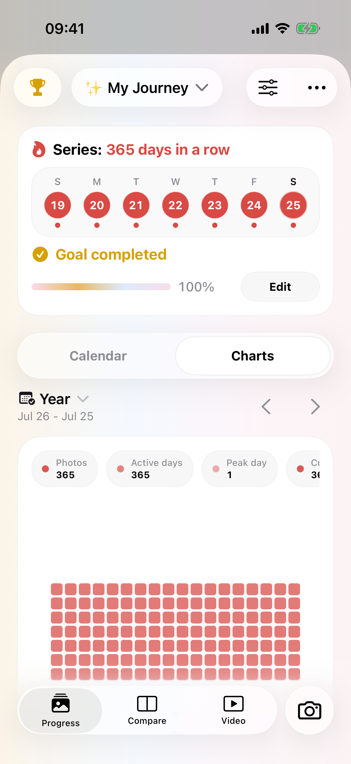 PhotoDays album chart showing a year of recorded activity